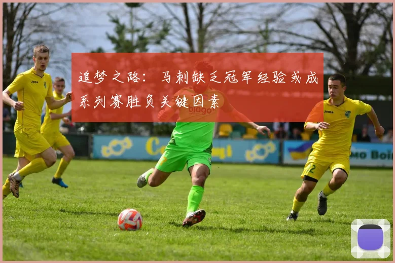 追梦之路：马刺缺乏冠军经验或成系列赛胜负关键因素