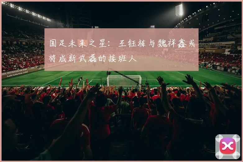 国足未来之星：王钰栋与魏祥鑫或将成新武磊的接班人